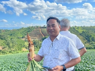 THƯ NGÕ TỔNG GIÁM ĐỐC LINH ĐAN NINH THUẬN 2025